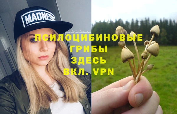 твердый Алексин