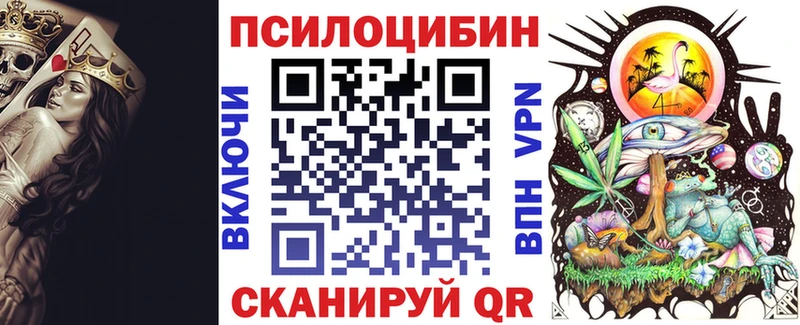хочу   Петропавловск-Камчатский  мега как зайти  Галлюциногенные грибы Cubensis 