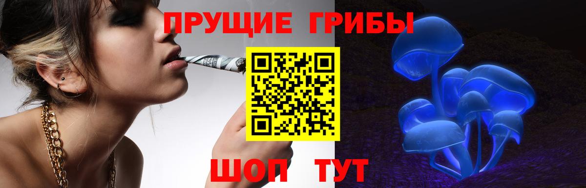 Псилоцибиновые грибы GOLDEN TEACHER  Вход с VPN  Петропавловск-Камчатский 